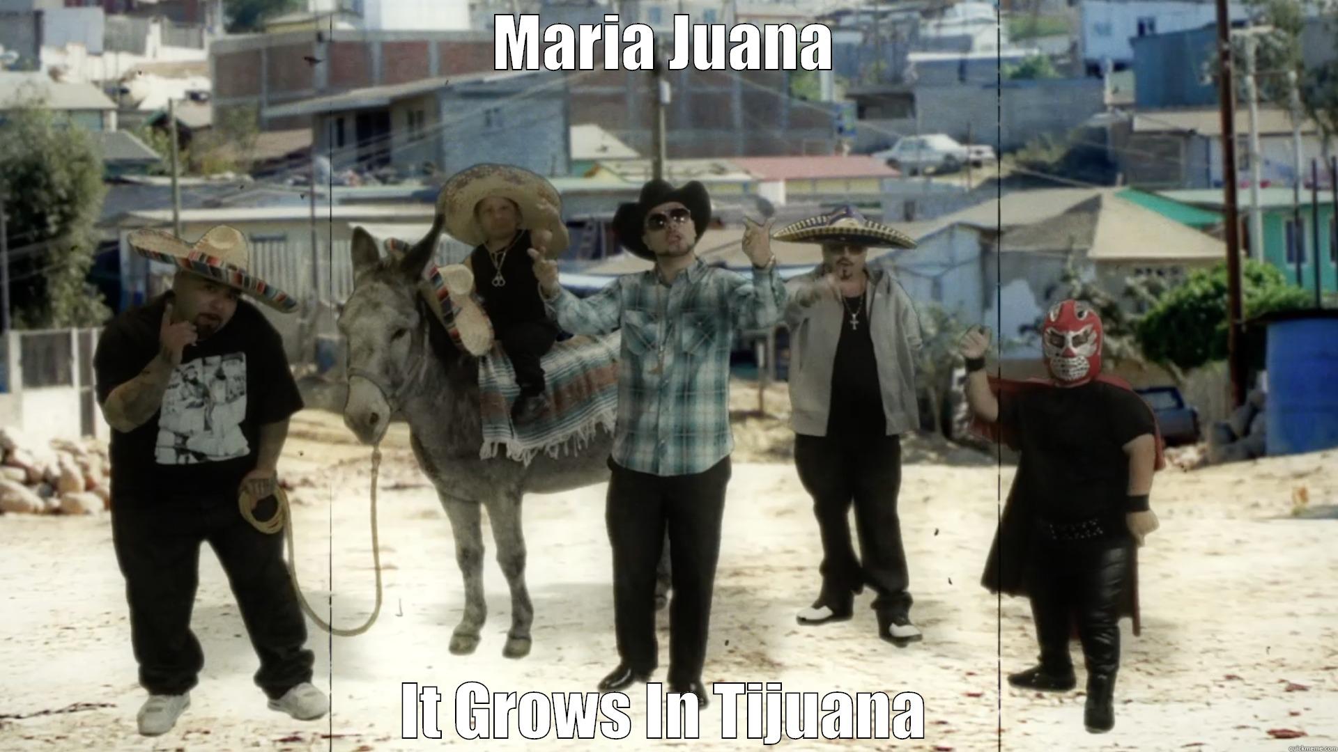 Pics from Maria Juana video shoot featuring Chingo Bling, Baby Bash, Down AKA Kilo, Big Tank Boss
https://www.youtube.com/watch?v=GmjWS8Qt5nM