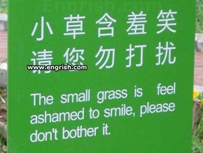When Words Get Lost In Translation It's Just Great