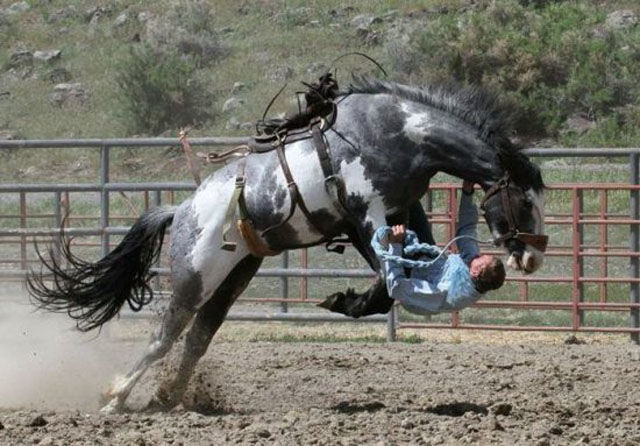 man falling off a horse