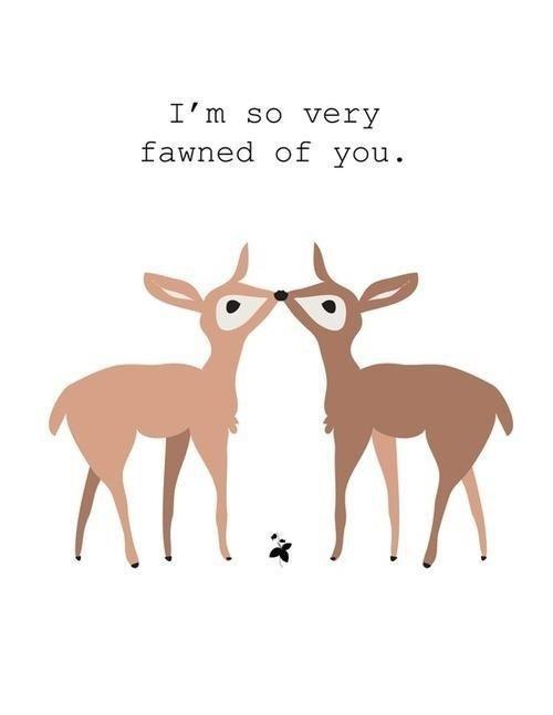 pun happy valentines day deer - I'm so very fawned of you.