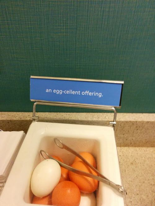 pun orange - an eggcellent offering.