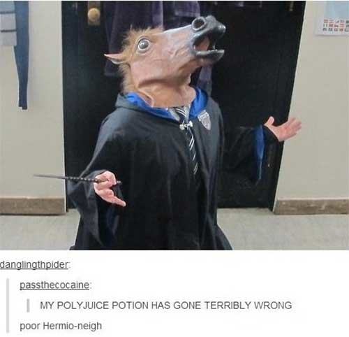 pun harry potter memes - danglingthpider passthecocaine My Polyjuice Potion Has Gone Terribly Wrong poor Hermioneigh