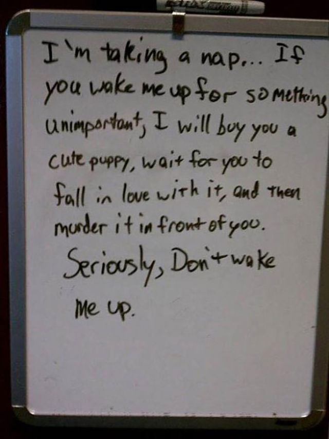 handwriting - I'm taking a nap... If you wake me up for something unimportant, I will buy you a cute puppy, wait for you to fall in love with it, and then murder it in front of you. Seriously, Don't wake me up.