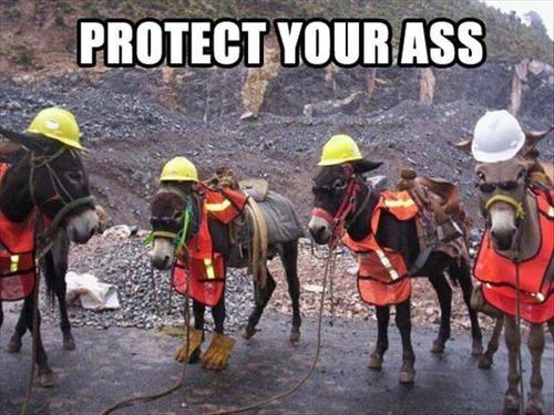 protect your ass - Protect Your Ass