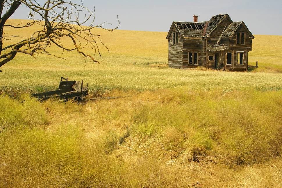 A wreck amongst golden fields. The Dalles, Oregon