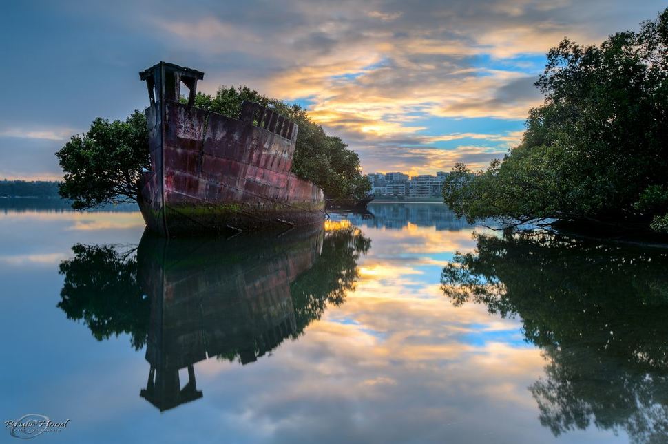 SS Ayrfield Homebush Bay, Australia -Homebush Bay is home to the remnants of a ship-breaking yard no longer in operation. Among the wrecks left behind is the SS Ayrfield, a 1,140-ton steam collier used as a transport ship during World War I. Now, it is home to a small floating forest.