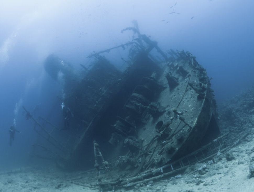 Giannis D Red Sea, Egypt - Giannis D sank in 1983, along with its cargo of timber. The wreck, which sunk near a coral reef, now acts as a treasure trove of local wildlife.