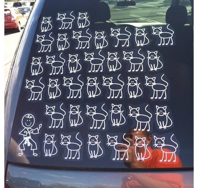 This person has filled that empty spot with a lot of cats...