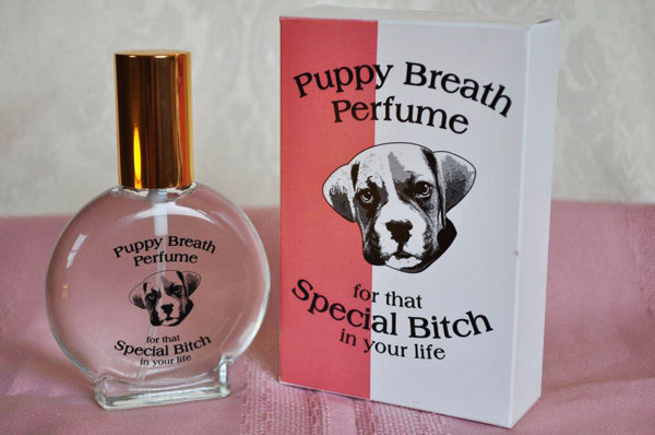 5. PUPPY BREATH.
“She tastes like when a puppy is kissing you. Best taste in the world.”

—Jimmy, 27