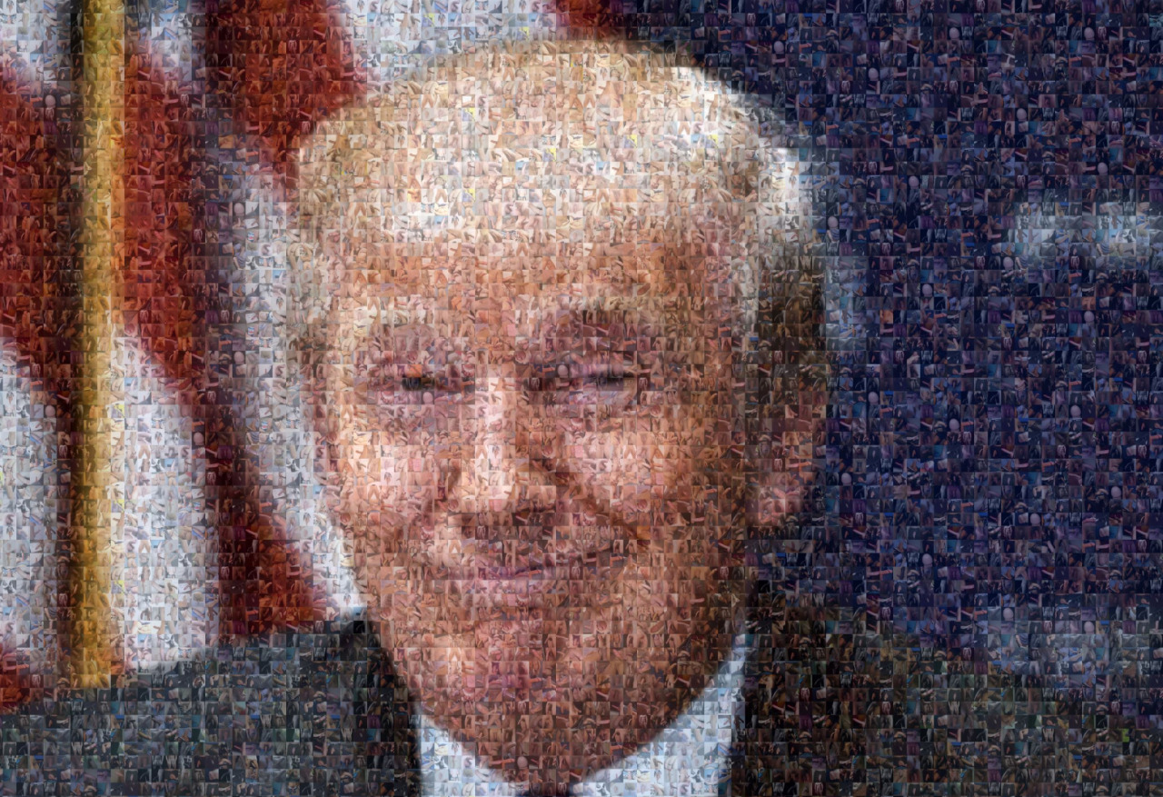 This mosaic portrait of the Donald is made out of 500 individual dick pics. Incredible to think 500 penises have gone into making such a smug portrait – but there you go. In short, these dicks have created a piece of art that is nothing short of majestic.