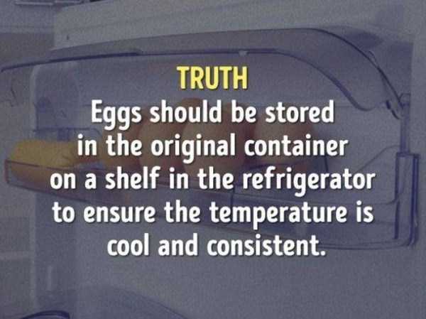 coca cola - Truth Eggs should be stored in the original container on a shelf in the refrigerator to ensure the temperature is cool and consistent.