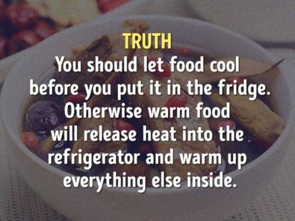 photo caption - Truth You should let food cool before you put it in the fridge. Otherwise warm food will release heat into the refrigerator and warm up everything else inside.