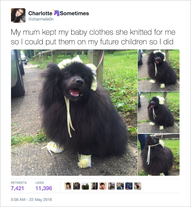 dogs are so pure - Charlotte Sometimes My mum kept my baby clothes she knitted for me so I could put them on my future children so I did 7,421 11,396 Andens