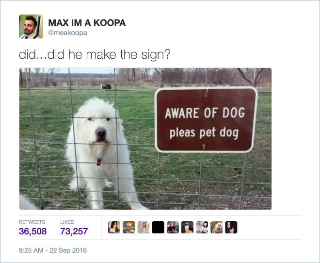 aware of dog pleas pet dog - Max Im A Koopa did...did he make the sign? Aware Of Dog pleas pet dog 36,50873,257 09120260