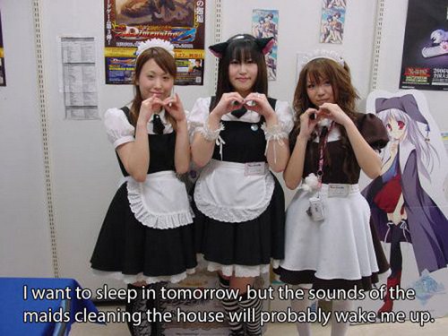 japanese maids - I want to sleep in tomorrow, but the sounds of the maids cleaning the house will probably wake me up.