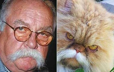 Cats who look like people