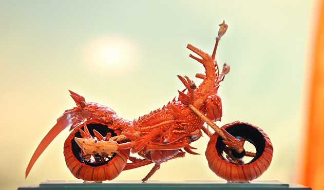 Lobster Shell Motorcycles