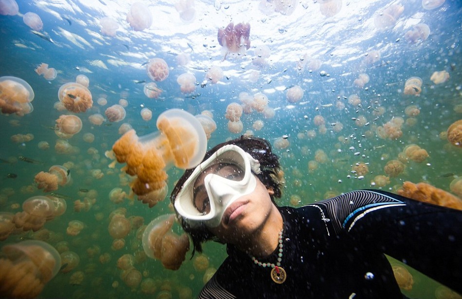 OMG, im surrounded by  jellyfish, what should i doi know, take a quick selfie!
