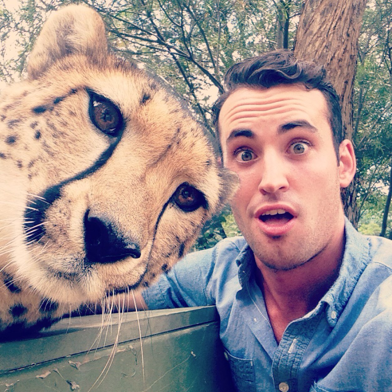 Taking selfies with pets is fine, with man-eating cheetah, not so fine.