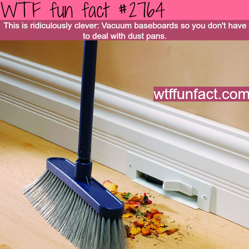 48 WTF Fun Facts