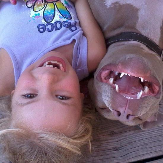 20 Pit Bulls Who Are Just Big Softies