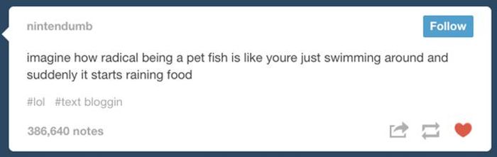 tumblr - web page - nintendumb imagine how radical being a pet fish is youre just swimming around and suddenly it starts raining food bloggin 386,640 notes