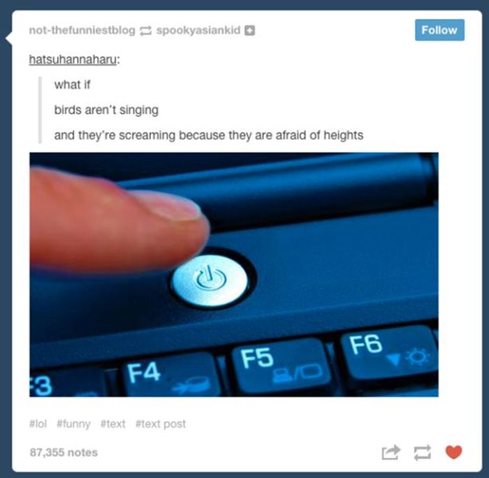 tumblr - turn off your computer - notthefunniestblogspookyasiankid hatsuhannaharu what if birds aren't singing and they're screaming because they are afraid of heights Fb Ul 5 0 F4 I O post 87,355 notes