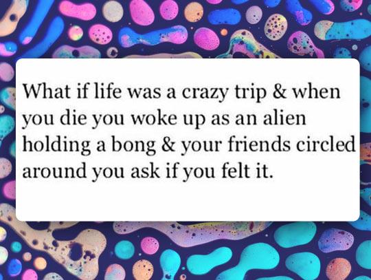 tumblr - life is just a trip - What if life was a crazy trip & when you die you woke up as an alien holding a bong & your friends circled around you ask if you felt it.