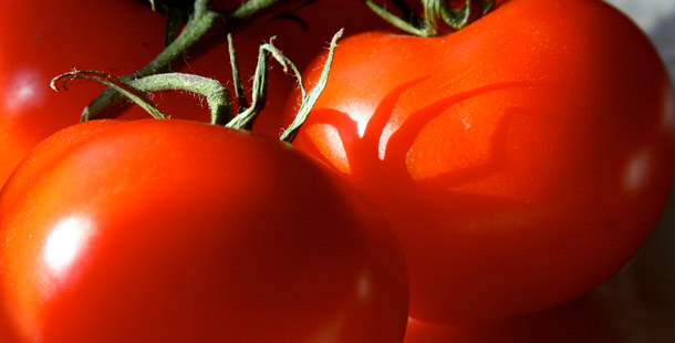 Tomatoes are legally considered vegetables- No, they are still fruit. The Supreme Court never ruled that tomatoes are vegetables in any botanical sense. In Nix vs. Hedden they simply classified tomatoes as vegetables for the purposes of taxation, so that under the Tarrif Act of 1883 they would be taxable, in the agricultural sense.
