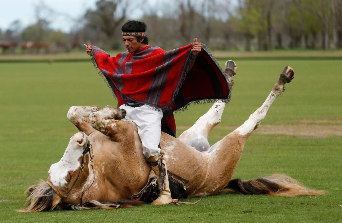 Horse whisperer Martin Tata sits on his five year old horse “Primavera” as he performs a demonstration of “Indian Taming” in Buenos Aires, Argentina.