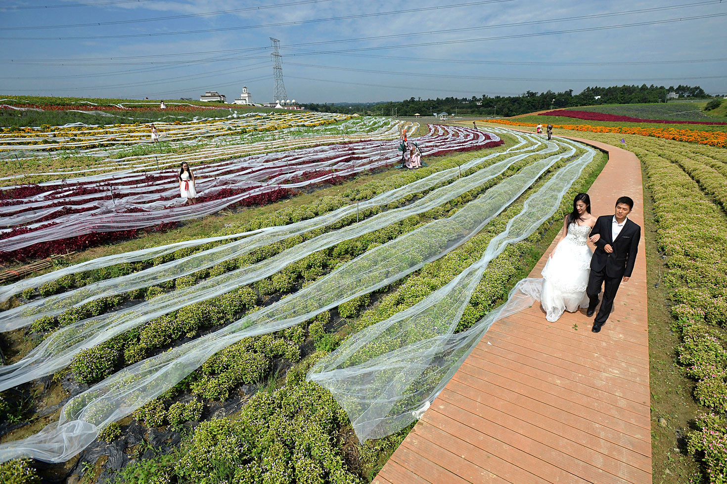 Staff members dressed as newlyweds walk along a path as they display a 4483 yard wedding dress than trailed along shrubs, the train cost $6,520.