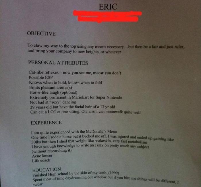 27 Hilariously Horrible Resumes For The Do Not Hire P!   ile Gallery - 