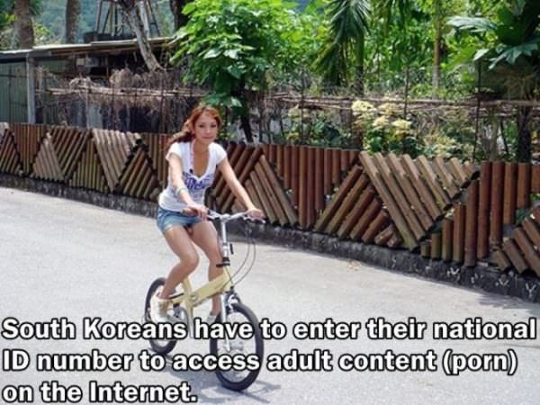 girl on bike with penis - South Koreans have to enter their national Id number to access adult content porn on the Internet.