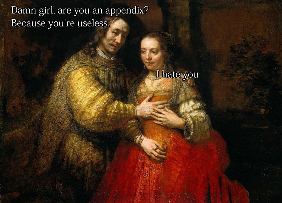 classic painting memes - Damn girl, are you an appendix? Because you're useless. I hate you