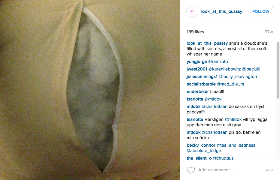 25 Things That Look Exactly Like Vaginas But Aren’t Actually Vaginas