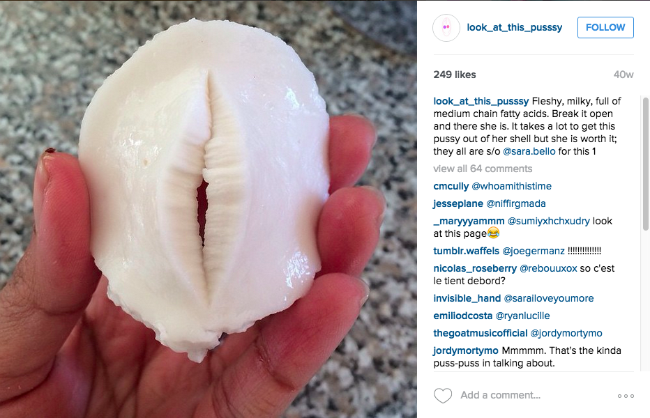 25 Things That Look Exactly Like Vaginas But Aren’t Actually Vaginas