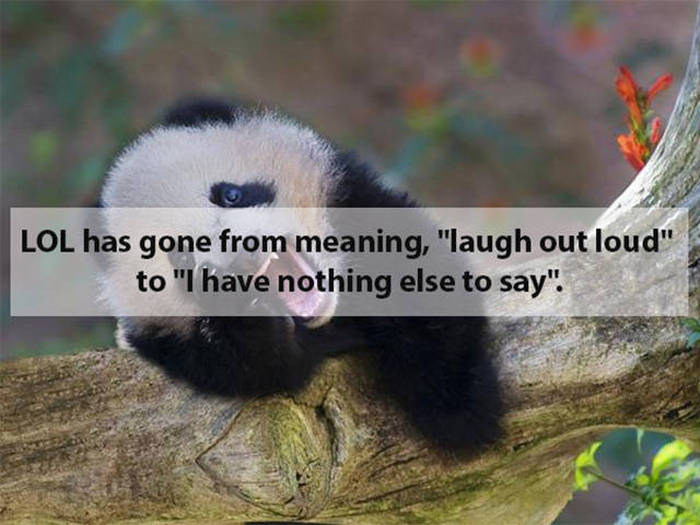 laughing animals - Lol has gone from meaning, "laugh out loud" to "I have nothing else to say".