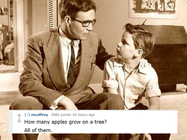 dad jokes-  conversation between father and son - mcaffrey 2682 points 16 hours ago How many apples grow on a tree? All of them.