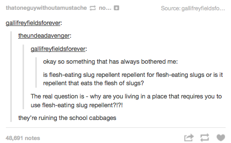 19 Of The Most Important Questions To Ever Been Asked
