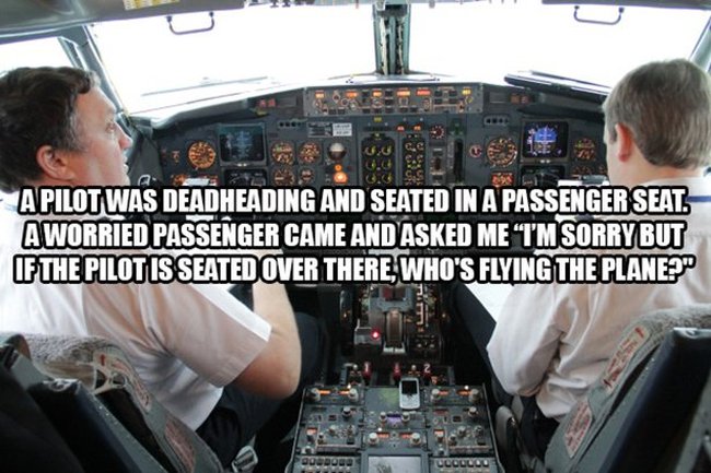 Flight Attendants Share The Weirdest Stuff They've Seen Go Down On Airplanes