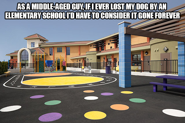 meme - As A MiddleAged Guy, If I Ever Lost My Dog Byan Elementary School I'D Have To Consider It Gone Forever
