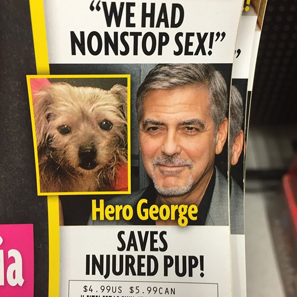 newspaper fail - We Had Nonstop Sex!, Hero George Saves Injured Pup! $4.99US $5.99CAN