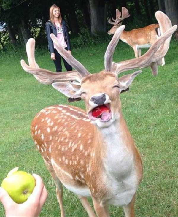 Picture Perfect Examples of Not So Photogenic Animals