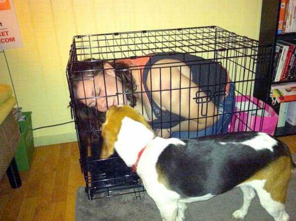 37 Photos Filled With As Much WTFness As Allowed By Law