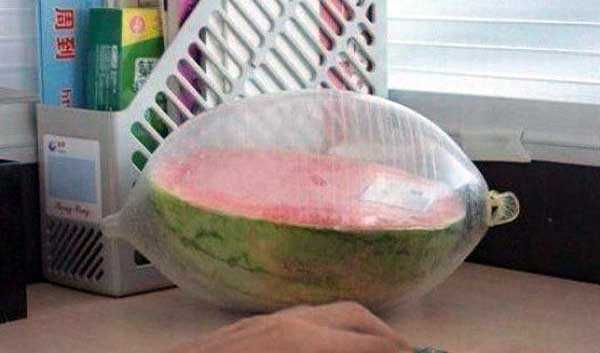 Keep that melon fresh.