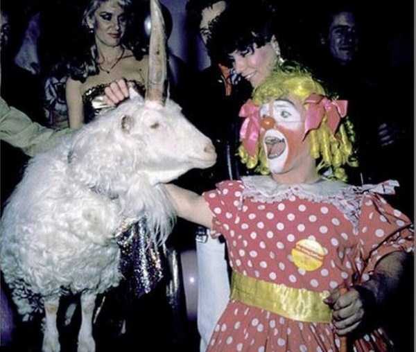 wtf pic ringling brothers circus unicorn