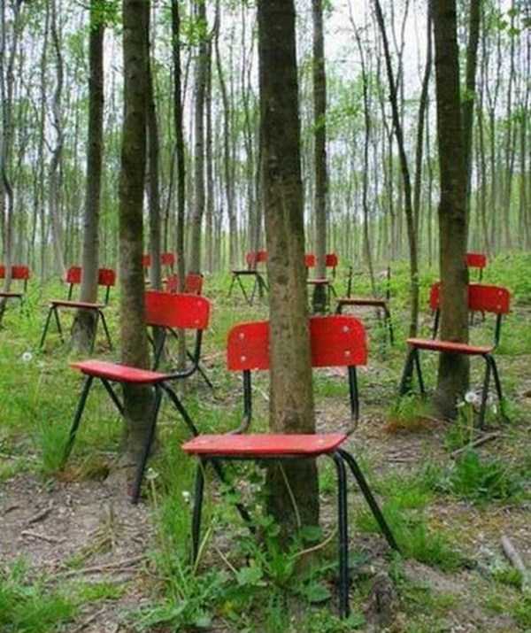 wtf pic chair trees in poland