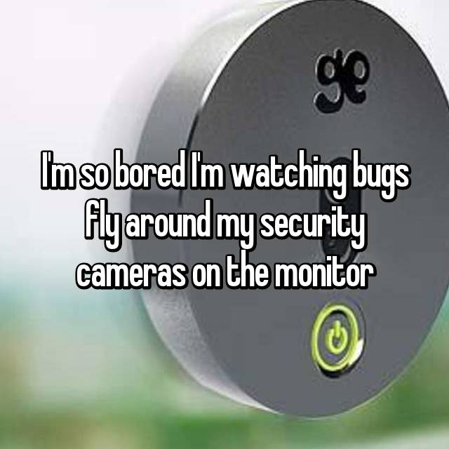 Im sobored Im watching bugs fly around my security cameras on the monitor