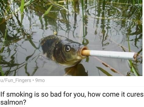 funny fish - uFun_Fingers 9mo If smoking is so bad for you, how come it cures salmon?