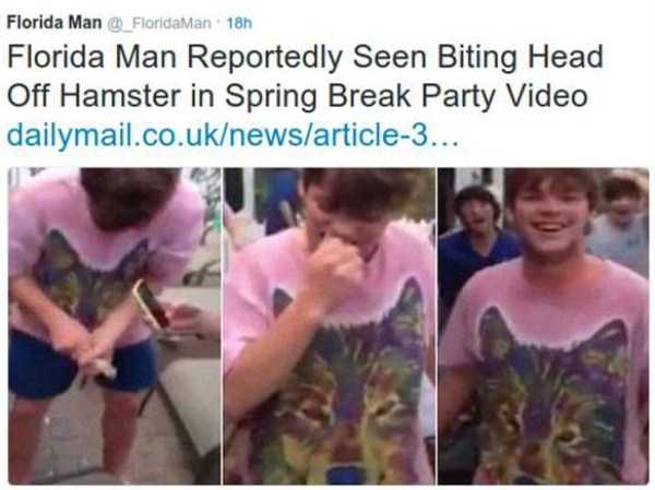 hamster bites head off - Florida Man 18h Florida Man Reportedly Seen Biting Head Off Hamster in Spring Break Party Video dailymail.co.uknewsarticle3...